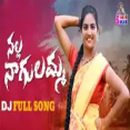 Nalla Nagulammo Dj Song