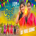 Allallo Nerallo Telugu Latest Folk DJ Song