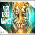 Hyderabadi Marfa Vs Tiger Trance