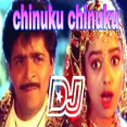 Chinuku chinuku vanellathoo Dj Song